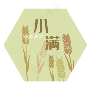 二十四节气小满字样装饰图