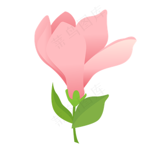 矢量免扣卡通兰花