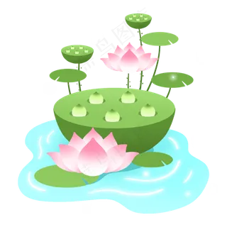 夏日荷花荷叶 夏日荷花荷叶