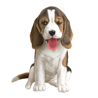 小狗动物装饰,免抠元素