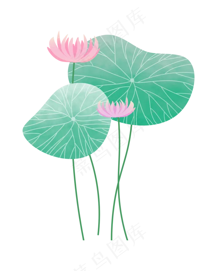 夏季植物荷花(2000X2500(DPI:300))psd模版下载