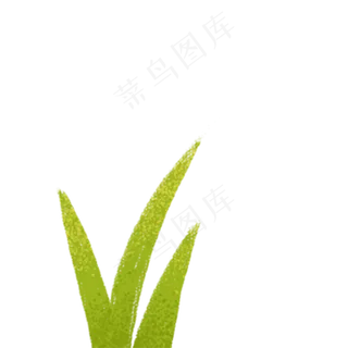 春天植物绿叶下载