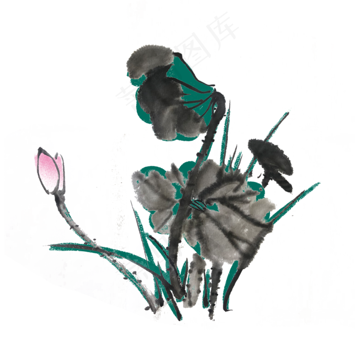 夏季荷花水墨手绘