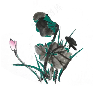 夏季荷花水墨手绘