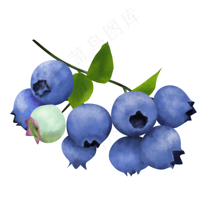 写实一串成熟蓝莓装饰