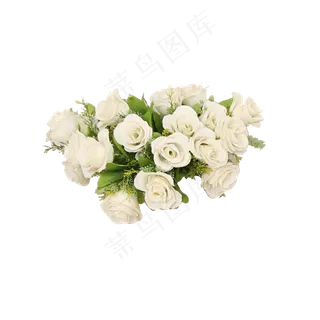 白色植物花朵元素