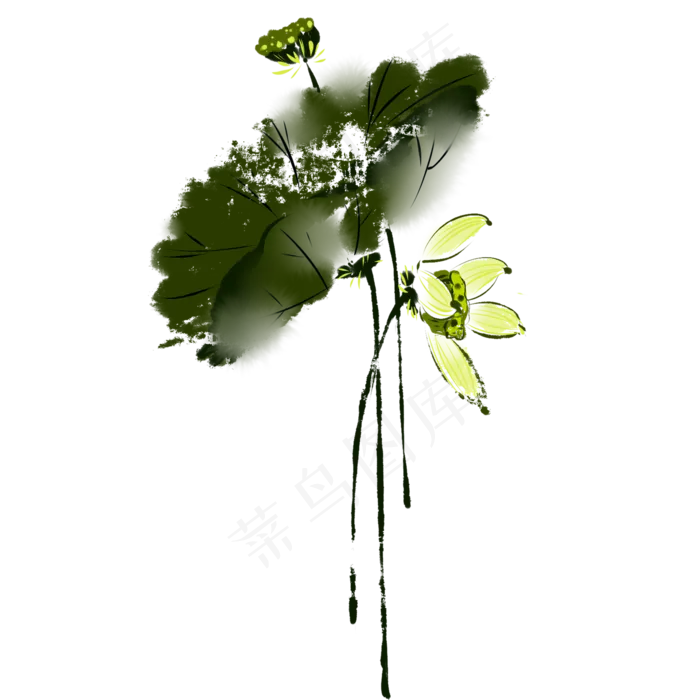 黄色莲子荷花荷叶组合(2000X2000(DPI:299))psd模版下载