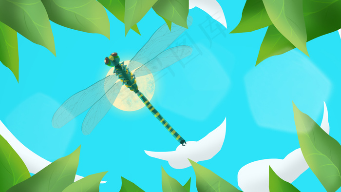 夏至蜻蜓植物天空