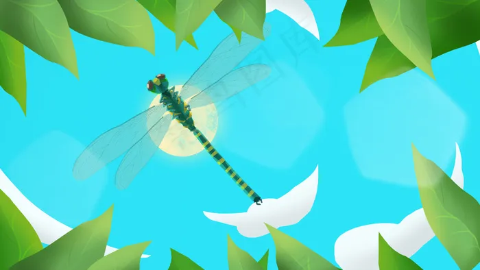 夏至蜻蜓植物天空(2880X1620(DPI:300))psd模版下载