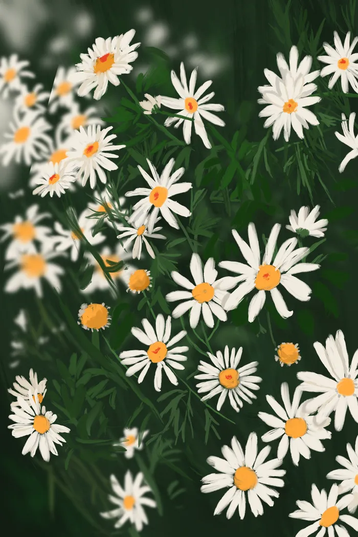 油画感盛放的杭白菊(3545*5315px 300 dpi )