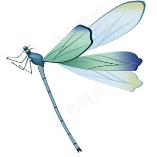 卡通蜻蜓png素材,免抠元素
