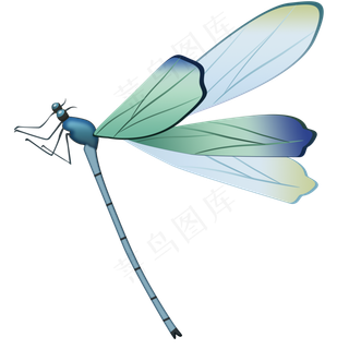 卡通蜻蜓png素材,免抠元素