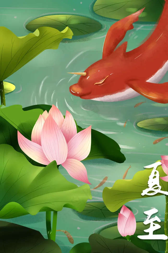 治愈唯美清新七月旅游中国风古鲸鱼夏至荷花