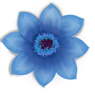 蓝色花花png图