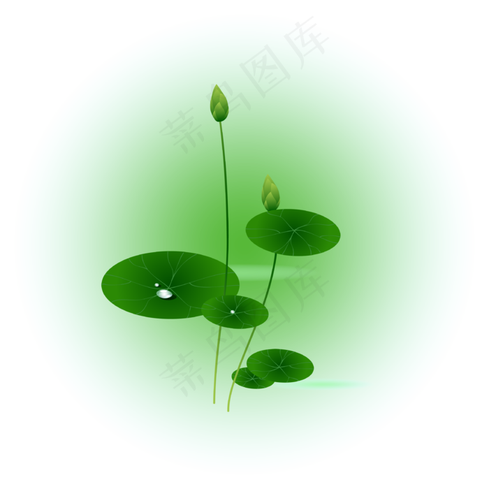 夏日荷花清新精美