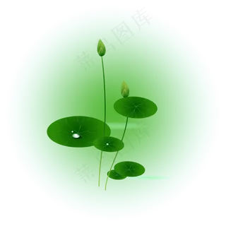 夏日荷花清新精美