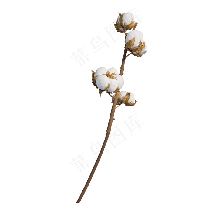 仿真棉花枝png图(2000X2000(DPI:300))psd模版下载