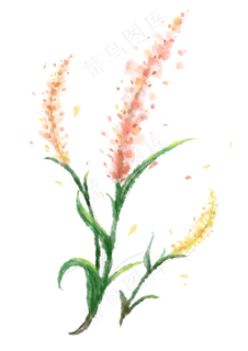 风信子水彩手绘元素