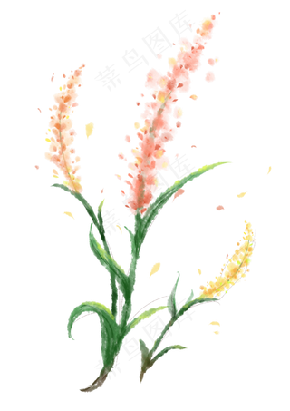 风信子水彩手绘元素