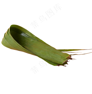 生态绿色棕叶免抠图