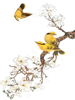 花鸟画装饰画,免抠元素