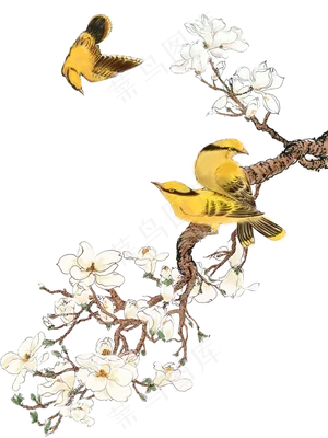 花鸟画装饰画,免抠元素