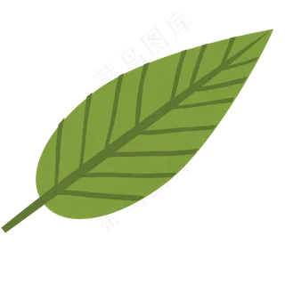 一片卡通绿色的叶子