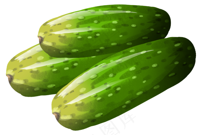 新鲜的食材黄瓜插画