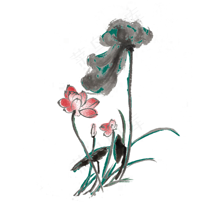 荷花荷叶水墨手绘插画