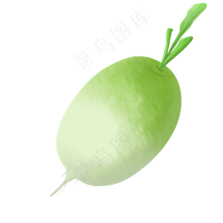 胖胖饱满的青萝卜