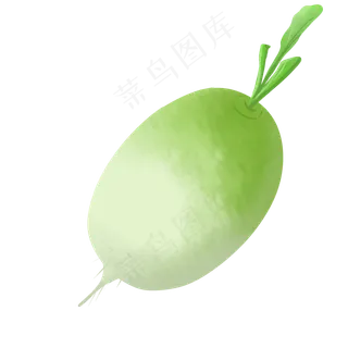 胖胖饱满的青萝卜