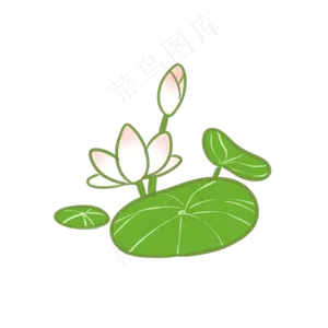 夏日小清新荷叶荷花