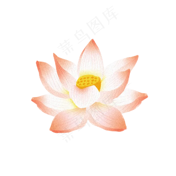 卡通荷花(2000X2000(DPI:300))psd模版下载