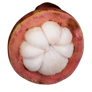 实拍果林果树水果果实