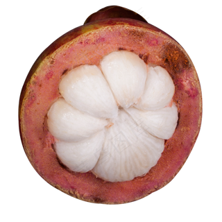 实拍果林果树水果果实