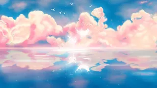 唯美治愈天空飞鸟