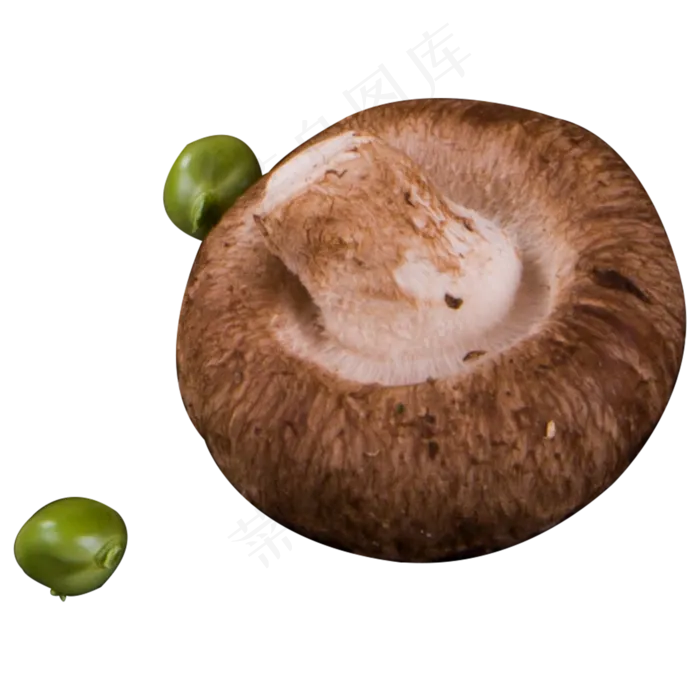 香菇实物拍摄png,免抠元素(2000X2000(DPI:300))psd模版下载