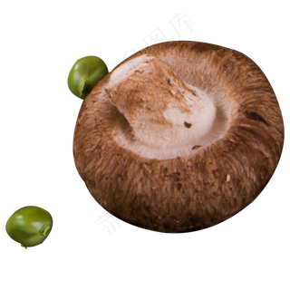 香菇实物拍摄png,免抠元素
