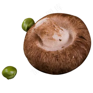 香菇实物拍摄png,免抠元素