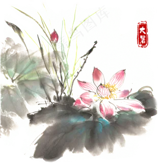 大暑夏日荷花,免抠元素 大暑夏日荷花,免抠元素