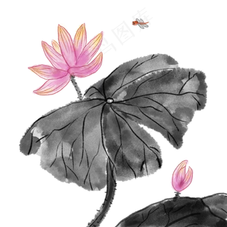 中国风荷花国画水墨