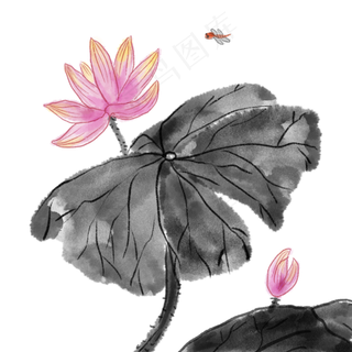 中国风荷花国画水墨