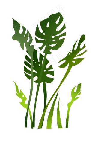 热带植物叶子装饰