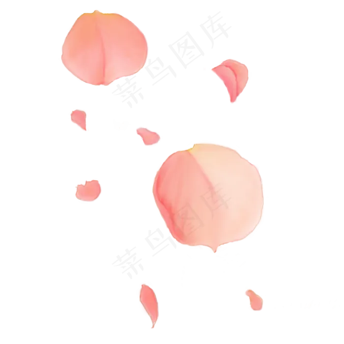 玫瑰花瓣植物装饰漂浮图案(2244X2244(DPI:300))psd模版下载