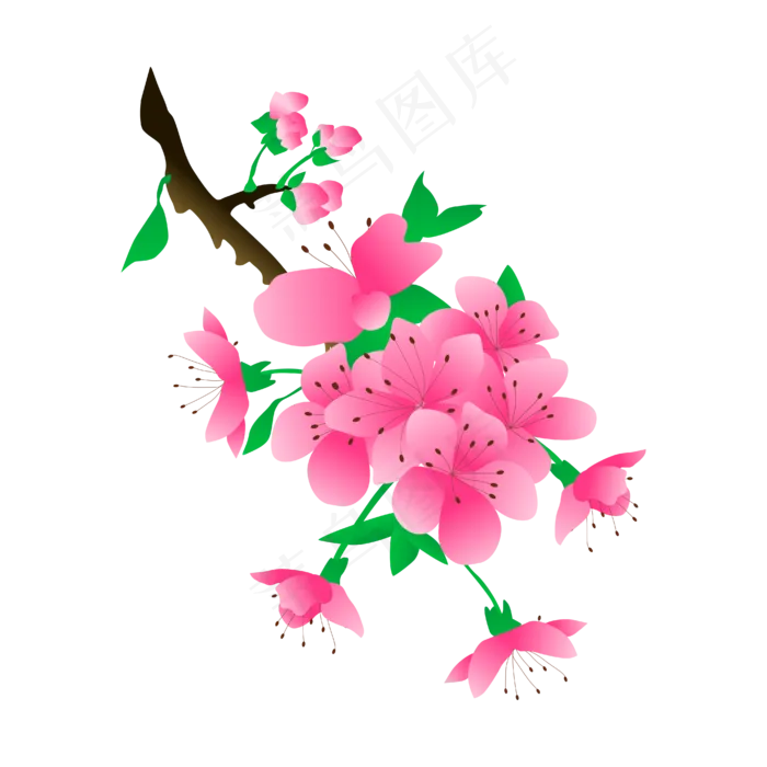 矢量免扣卡通桃花(4167*4167px 300 dpi )ai矢量模版下载