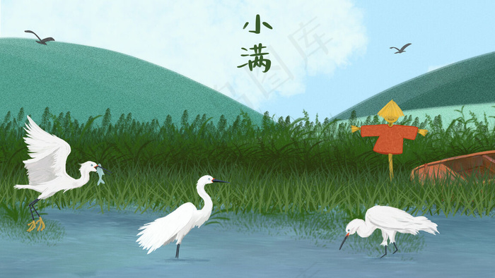 夏日小满节气蓝绿色水稻芦苇田白鹭抓鱼(2880*1620px 300 dpi )psd模版下载
