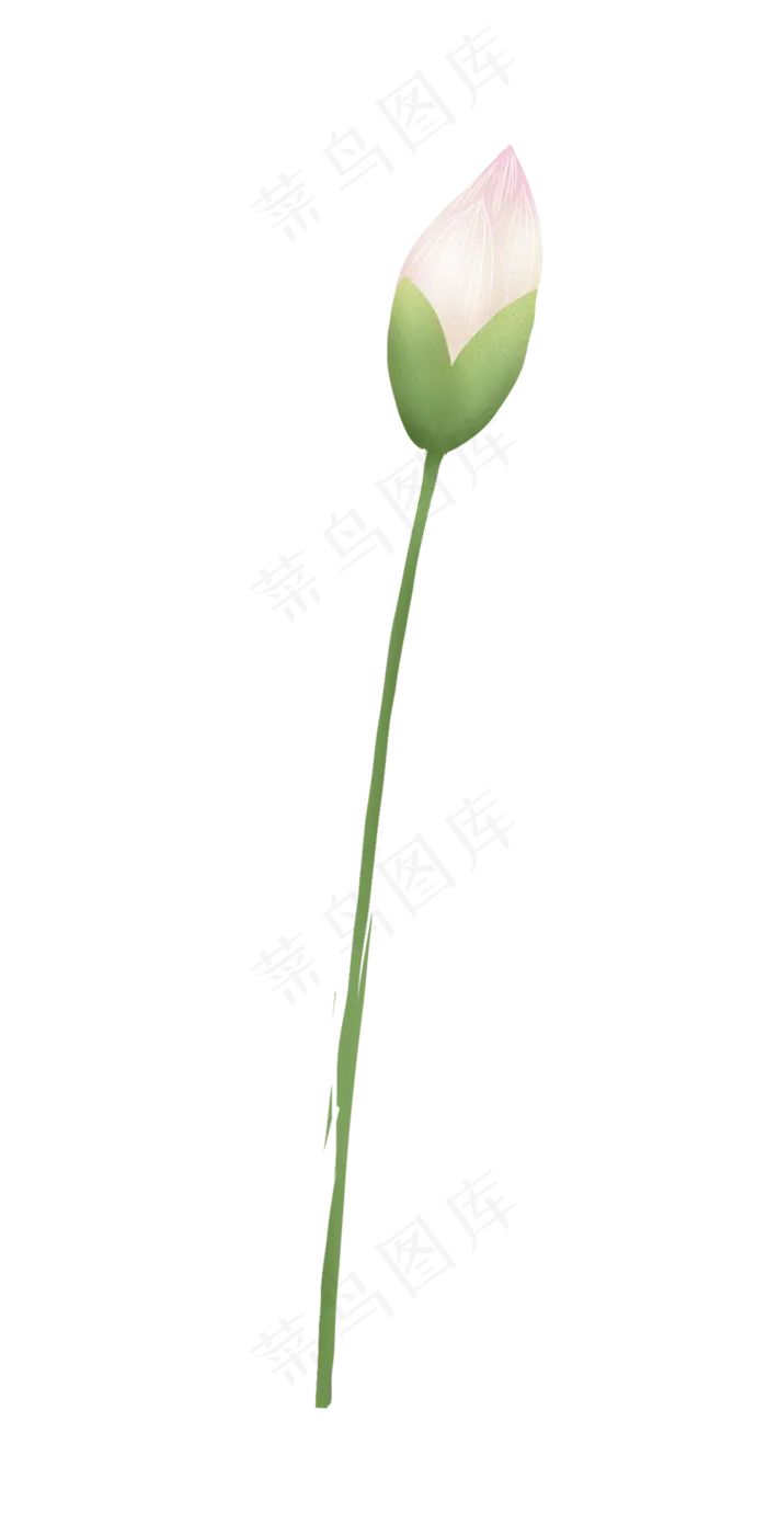 美丽的荷花(966X1932(DPI:300))psd模版下载