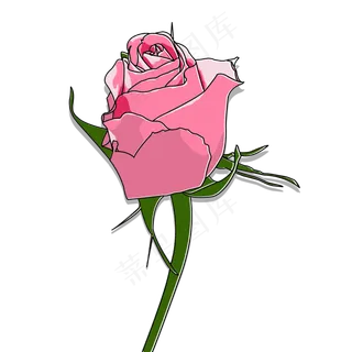 红色粉色玫瑰花情人节礼物520