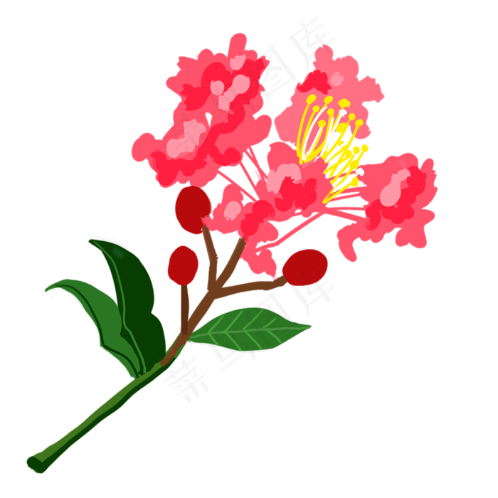 鲜艳一朵的紫薇花