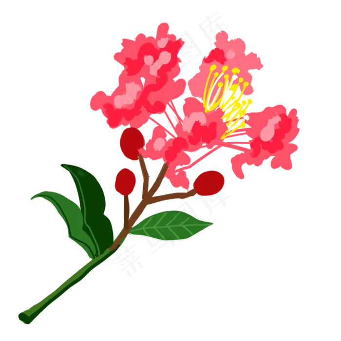 鲜艳一朵的紫薇花(2500X2500(DPI:300))psd模版下载